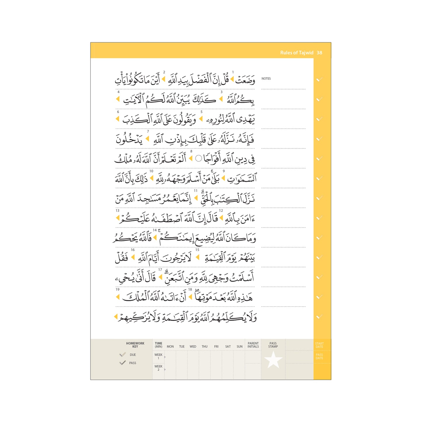 Rules of Tajwid (Madinah Script) - Safar Learn to Read Series