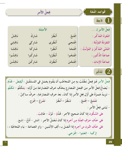 I Love and Learn Arabic (أحب و أتعلم العربية) - Level 7 - Workbook