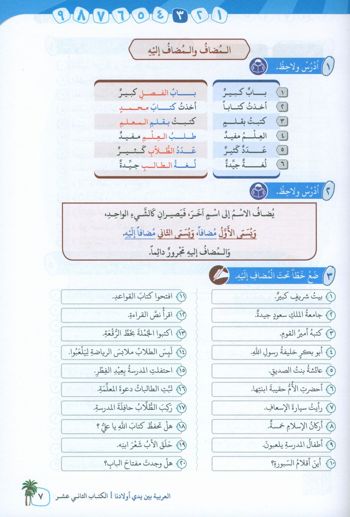 Arabic In Our Children's Hands - Textbook - Level 12 - العربية بين يدي أولادنا