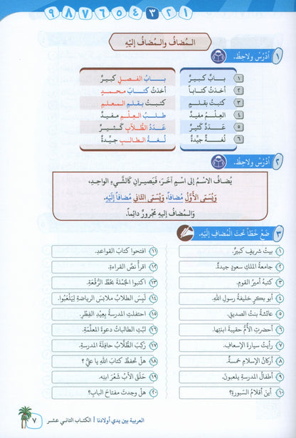 Arabic In Our Children's Hands - Textbook - Level 12 - العربية بين يدي أولادنا