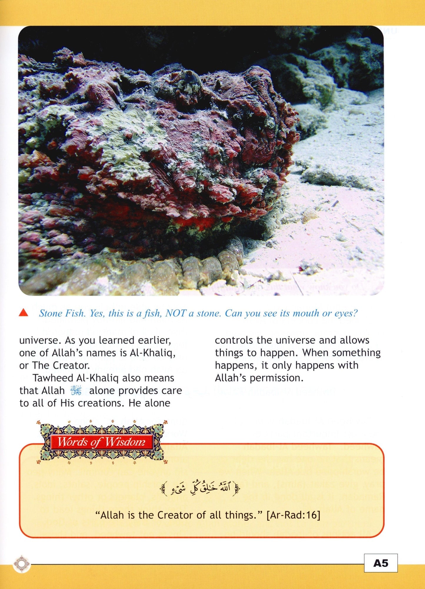 I Love Islam Textbook - Level 5 (1st Ed)