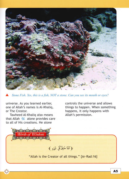 I Love Islam Textbook - Level 5 (1st Ed)