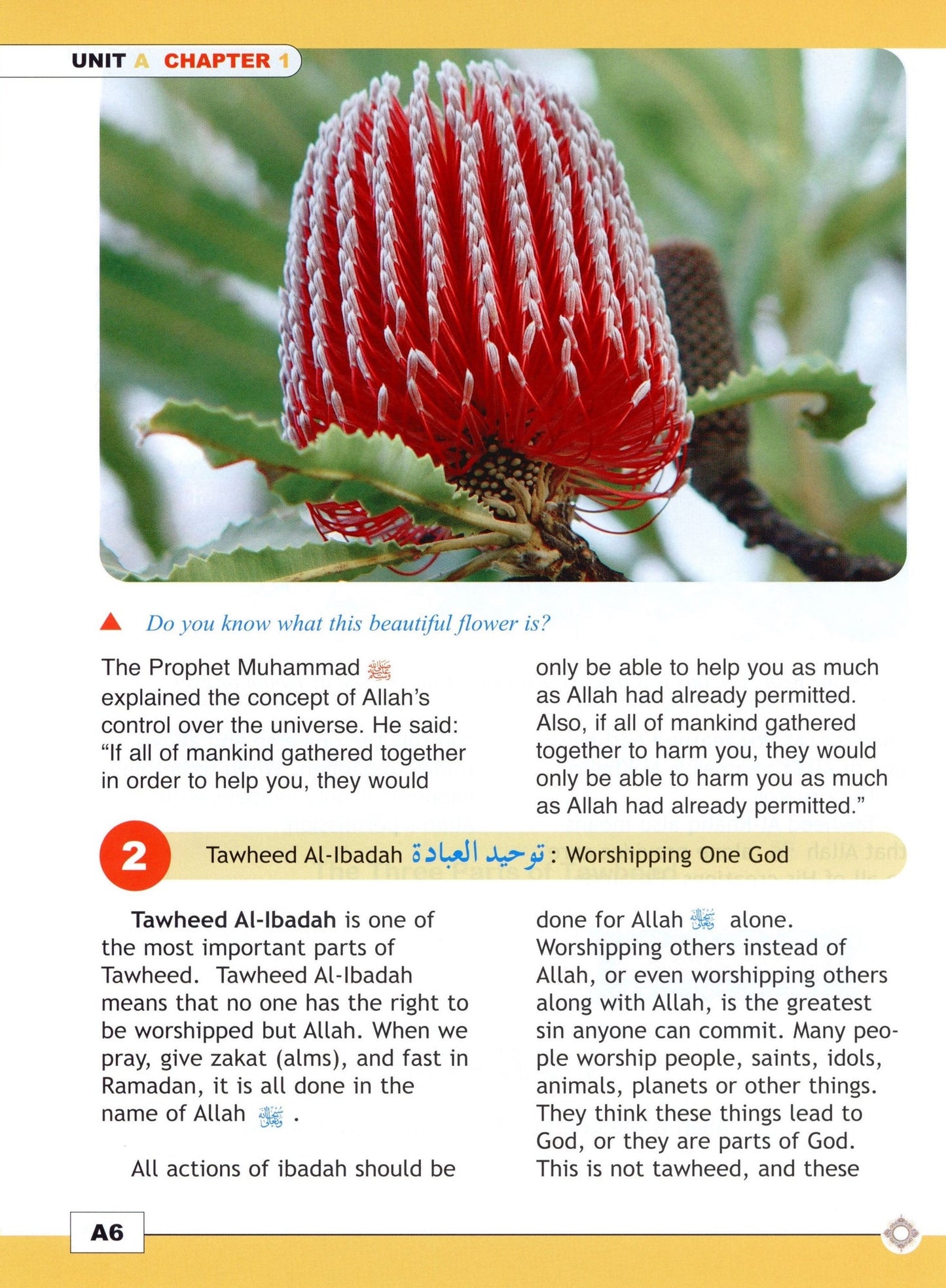 I Love Islam Textbook - Level 5 (1st Ed)