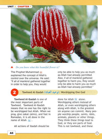 I Love Islam Textbook - Level 5 (1st Ed)