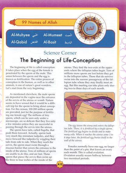 Learning Islam Textbook - Level 3 (Grade 8)
