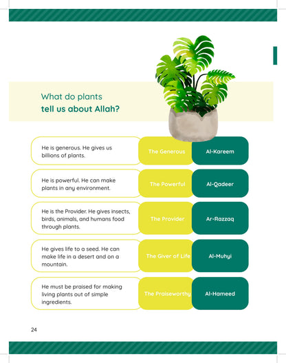 Tawhidi Science - Level 2