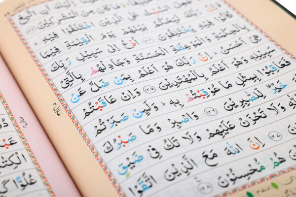 The Holy Quran (13 Line Indo-Pak Script with Color Coded Tajweed Rules) - Large Size