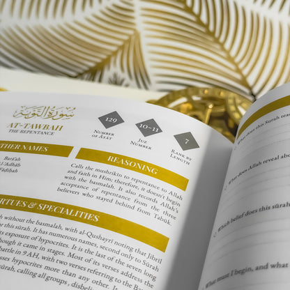 Quran Compass: Surah by Surah Study Guide & Reflection Journal