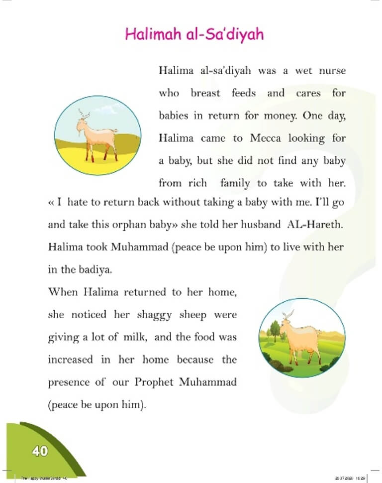 The Happy Muslim - Level 3