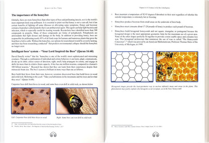 The Clear Signs of the Quran - Vol 1 & 2