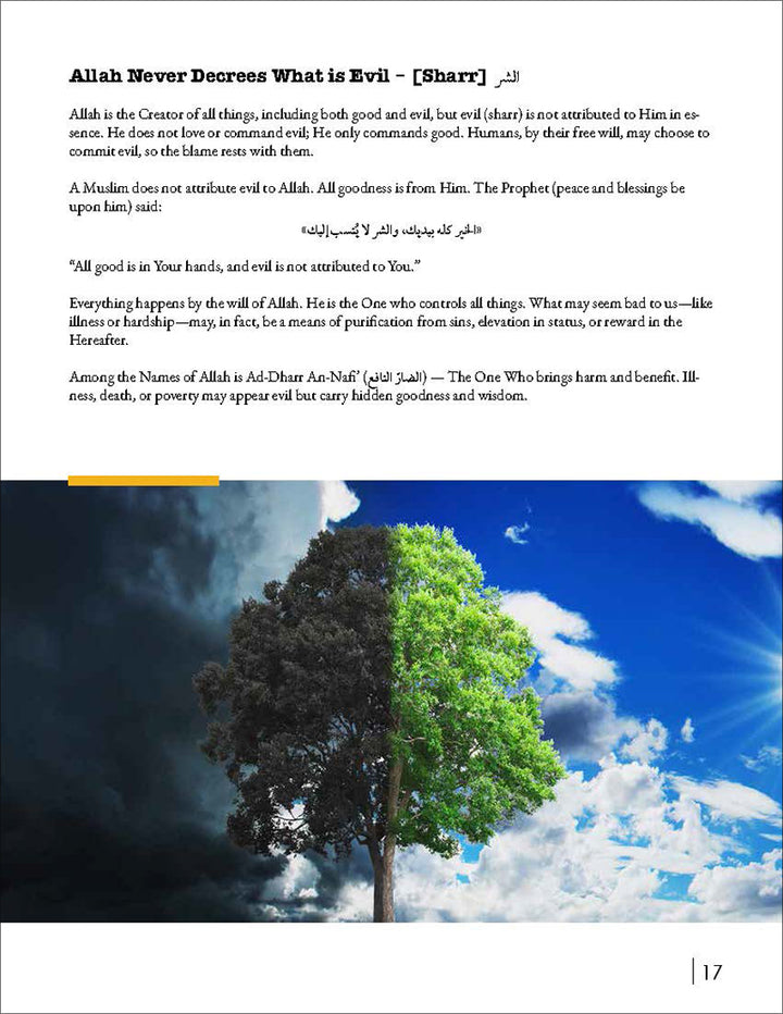 Living Islam - Level 4 (Grade 12)