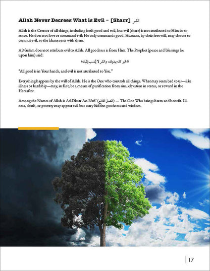 Living Islam - Level 4 (Grade 12)